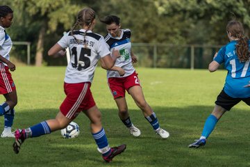 Bild 134 - wBJ VfL Pinneberg - Hamburger SV 2 : Ergebnis: 1:3